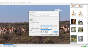 Настройка профиля воспроизведения